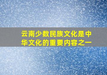 云南少数民族文化是中华文化的重要内容之一