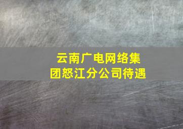 云南广电网络集团怒江分公司待遇