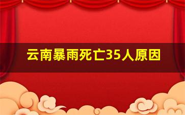 云南暴雨死亡35人原因