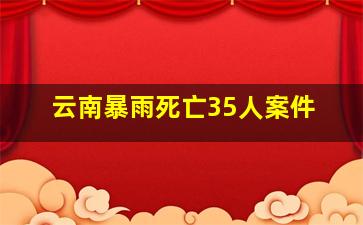 云南暴雨死亡35人案件