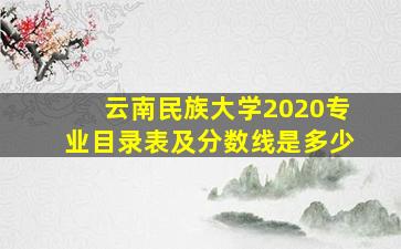 云南民族大学2020专业目录表及分数线是多少