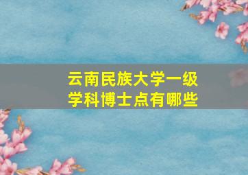 云南民族大学一级学科博士点有哪些