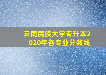 云南民族大学专升本2020年各专业分数线