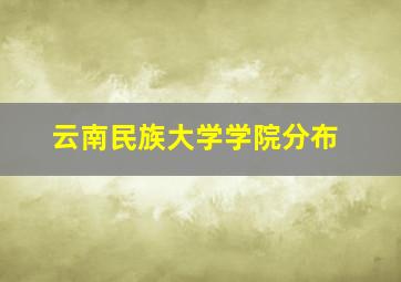 云南民族大学学院分布