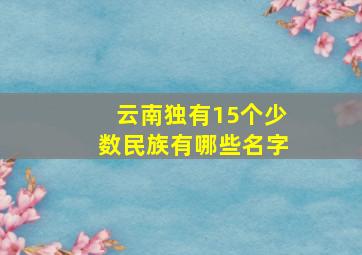 云南独有15个少数民族有哪些名字