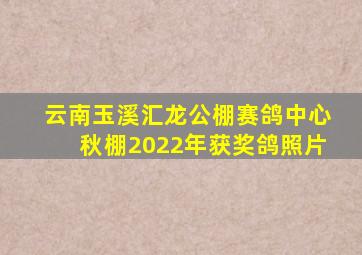 云南玉溪汇龙公棚赛鸽中心秋棚2022年获奖鸽照片