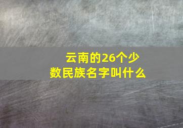 云南的26个少数民族名字叫什么