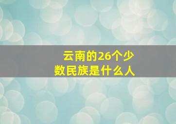 云南的26个少数民族是什么人