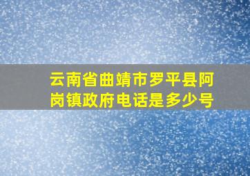 云南省曲靖市罗平县阿岗镇政府电话是多少号