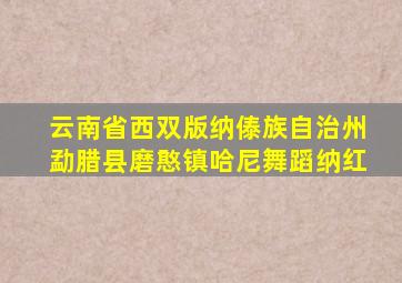 云南省西双版纳傣族自治州勐腊县磨憨镇哈尼舞蹈纳红