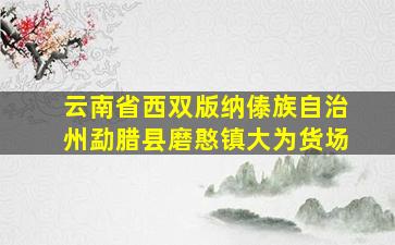 云南省西双版纳傣族自治州勐腊县磨憨镇大为货场