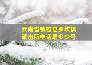 云南省镇雄县罗坎镇派出所电话是多少号