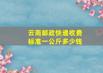 云南邮政快递收费标准一公斤多少钱