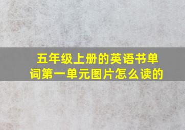 五年级上册的英语书单词第一单元图片怎么读的