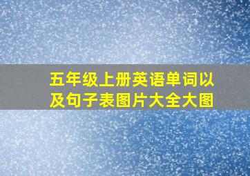 五年级上册英语单词以及句子表图片大全大图