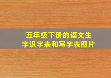 五年级下册的语文生字识字表和写字表图片