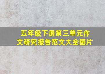 五年级下册第三单元作文研究报告范文大全图片