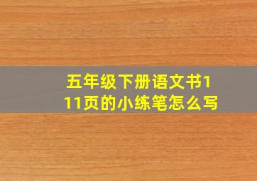 五年级下册语文书111页的小练笔怎么写