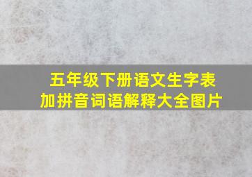 五年级下册语文生字表加拼音词语解释大全图片