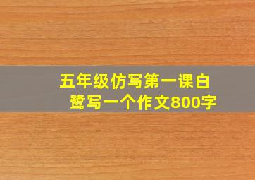 五年级仿写第一课白鹭写一个作文800字