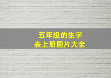 五年级的生字表上册图片大全