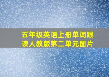 五年级英语上册单词跟读人教版第二单元图片