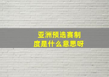 亚洲预选赛制度是什么意思呀