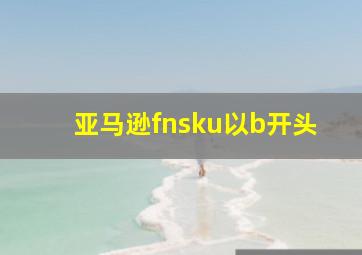 亚马逊fnsku以b开头