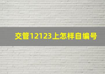 交管12123上怎样自编号