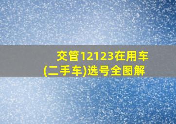 交管12123在用车(二手车)选号全图解