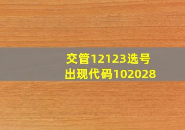 交管12123选号出现代码102028