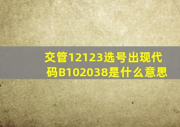 交管12123选号出现代码B102038是什么意思