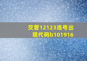 交管12123选号出现代码b101916