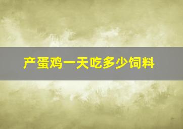 产蛋鸡一天吃多少饲料