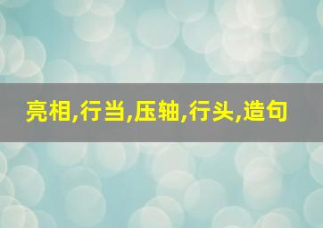 亮相,行当,压轴,行头,造句