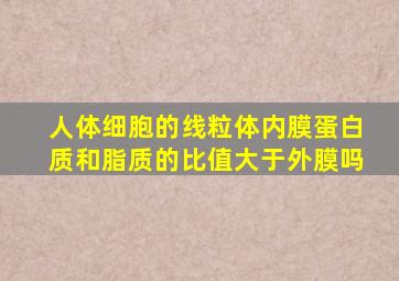 人体细胞的线粒体内膜蛋白质和脂质的比值大于外膜吗