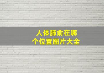 人体肺俞在哪个位置图片大全