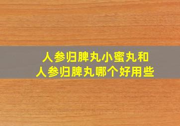 人参归脾丸小蜜丸和人参归脾丸哪个好用些