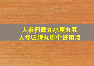 人参归脾丸小蜜丸和人参归脾丸哪个好用点