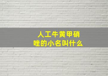 人工牛黄甲硝唑的小名叫什么