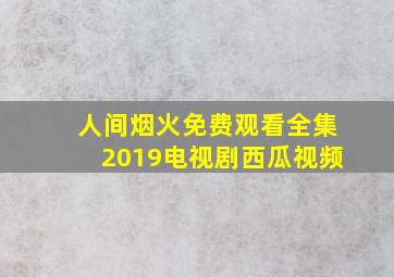 人间烟火免费观看全集2019电视剧西瓜视频