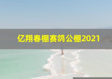 亿翔春棚赛鸽公棚2021