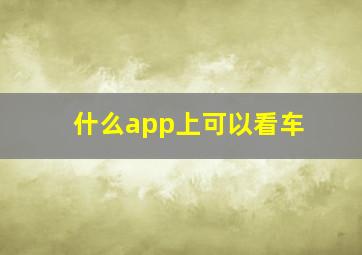 什么app上可以看车