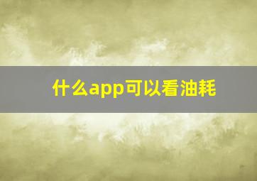 什么app可以看油耗