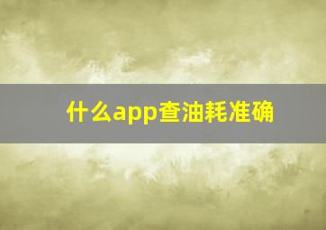 什么app查油耗准确