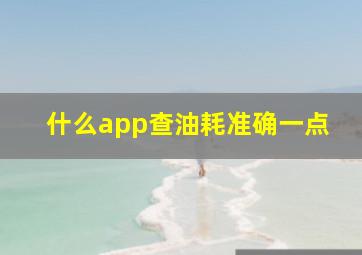 什么app查油耗准确一点