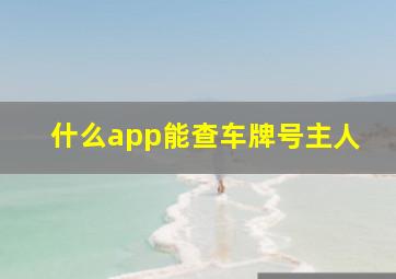 什么app能查车牌号主人