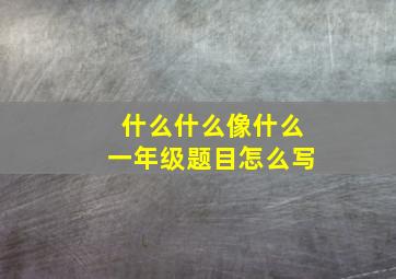 什么什么像什么一年级题目怎么写