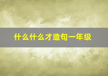 什么什么才造句一年级