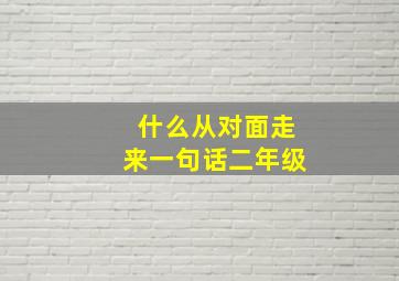 什么从对面走来一句话二年级